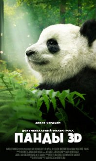 Pandas IMAX